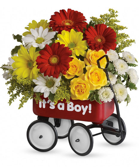 Baby's Wow Wagon - Boy