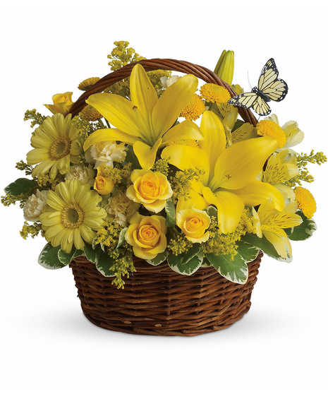 Basket Full of Wishes