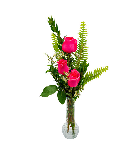 Pink Grapefruit Twist