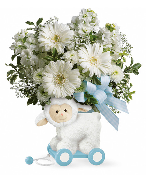 Sweet Little Lamb - Baby Blue