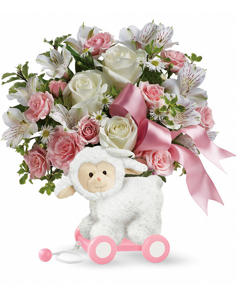 Sweet Little Lamb - Baby Pink