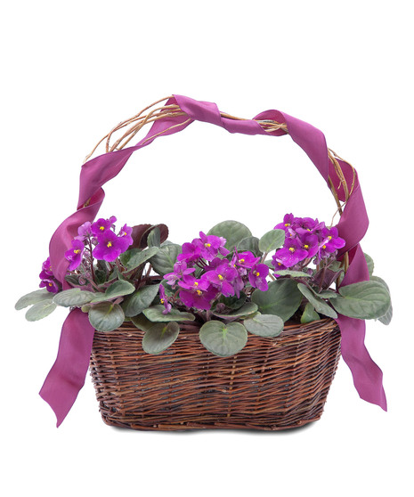 Very Violet Basket