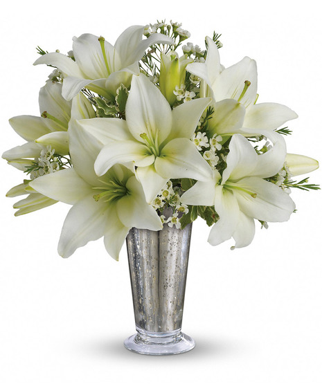 Written in the Stars